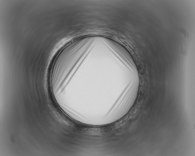 X0000112940104200909211142