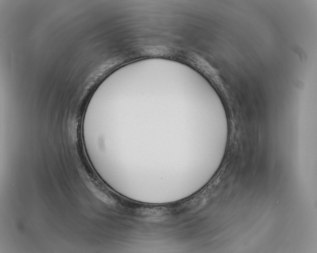X0000112940106200909211142
