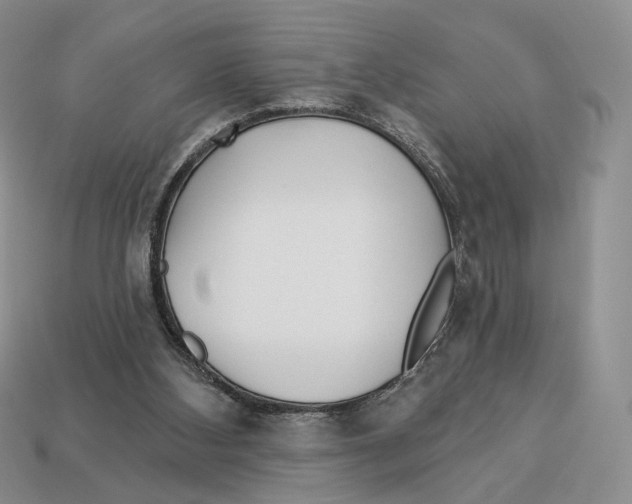 X0000112940108200909211142
