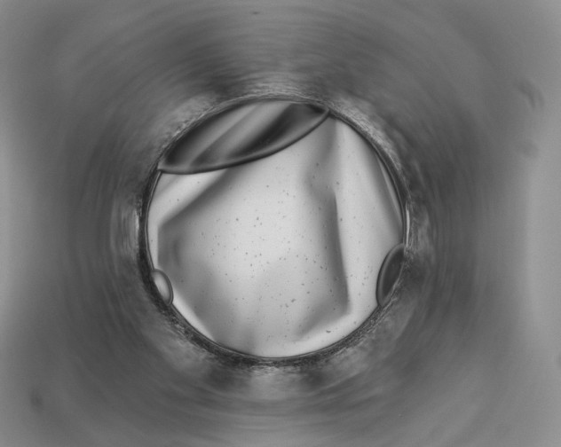 X0000112940109200909211142