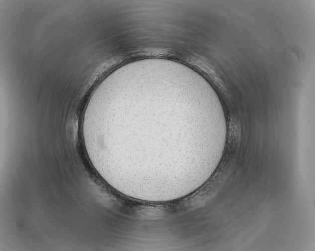 X0000112940110200909211142
