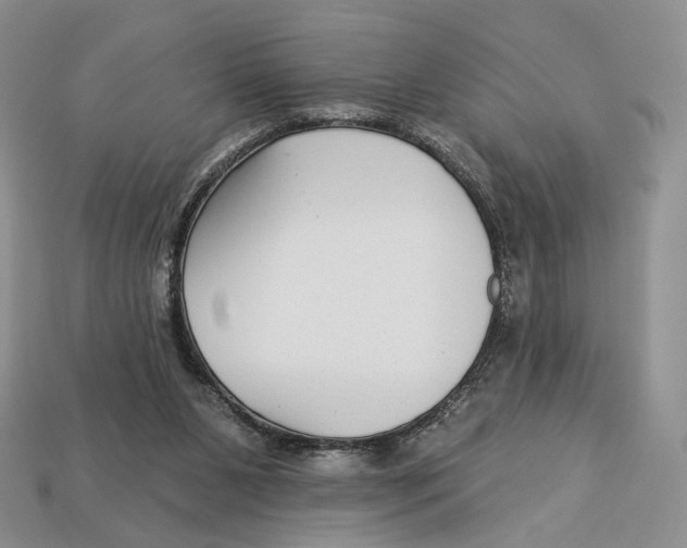 X0000112940111200909211142