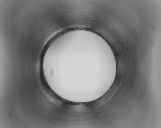 X0000112940112200909211142