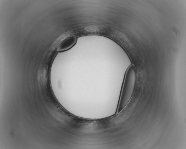 X0000112940116200909211142