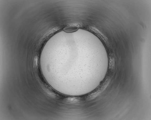 X0000112940117200909211142