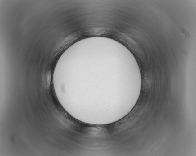 X0000112940118200909211142