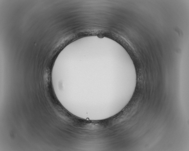 X0000112940119200909211142