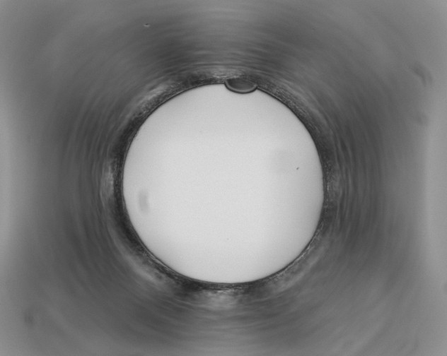 X0000112940120200909211142