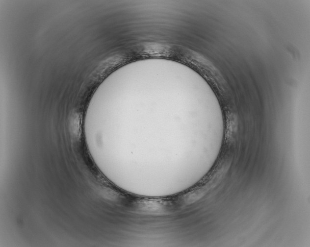X0000112940121200909211141