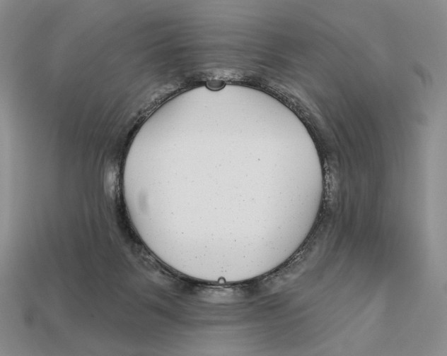 X0000112940123200909211141