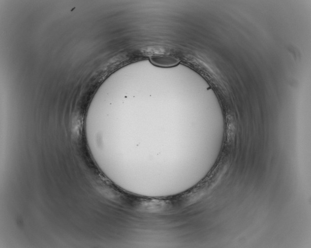 X0000112940125200909211141
