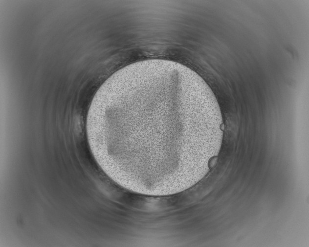 X0000112940130200909211141