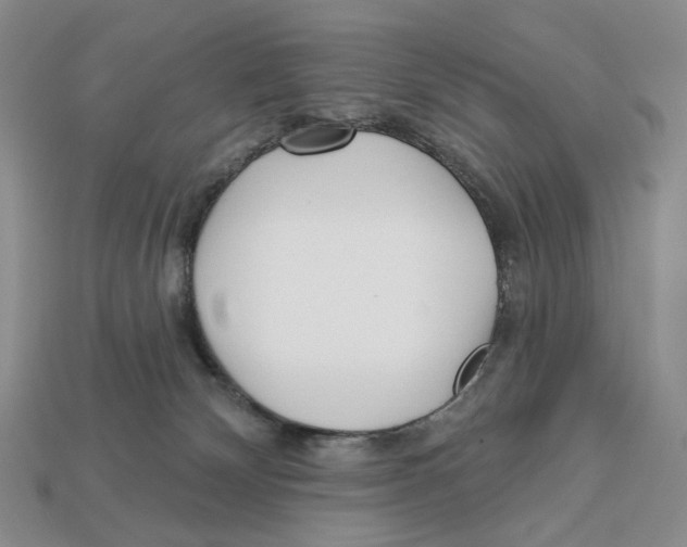 X0000112940132200909211141