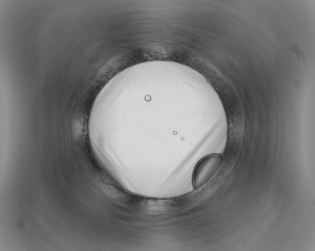 X0000112940134200909211141