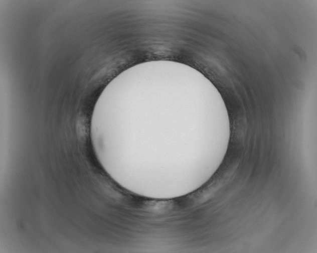 X0000112940135200909211141