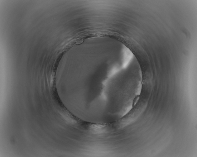 X0000112940139200909211141