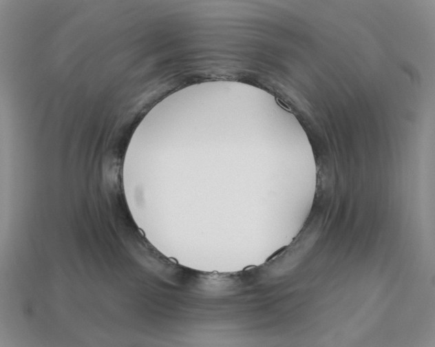 X0000112940141200909211141