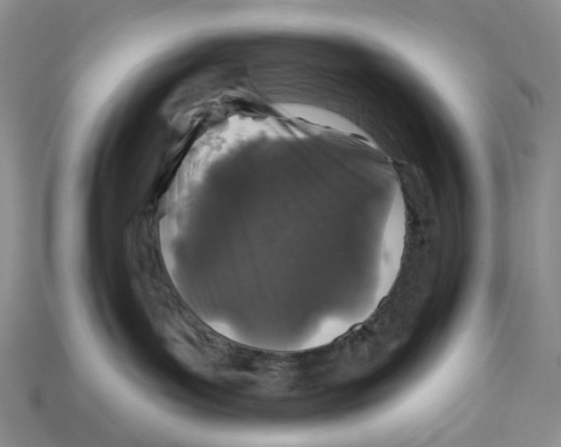 X0000112940143200909211141