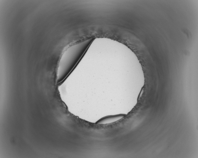 X0000112940144200909211141