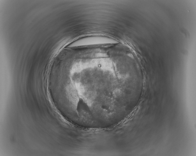 X0000112940145200909211141