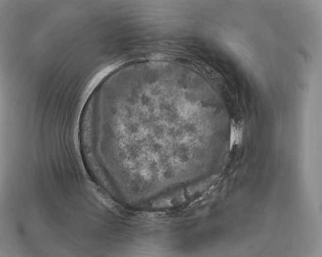 X0000112940147200909211141