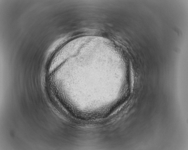 X0000112940149200909211141