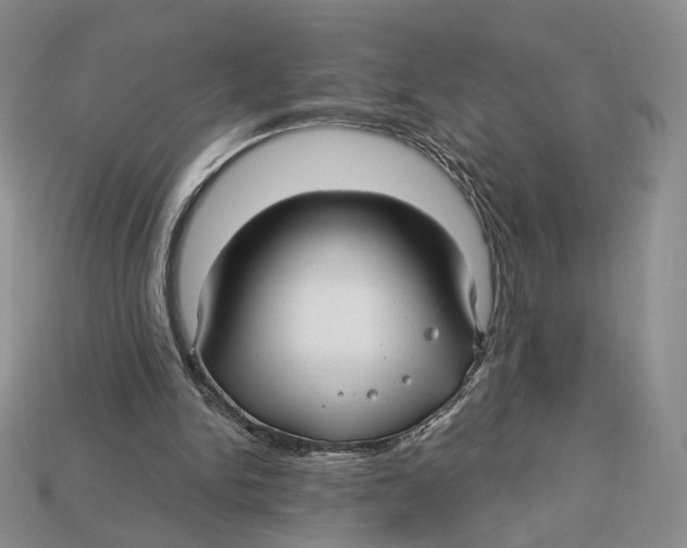 X0000112940150200909211141