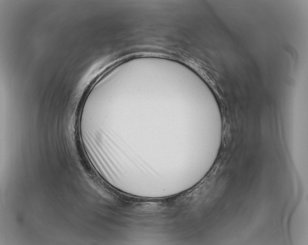 X0000112940151200909211141