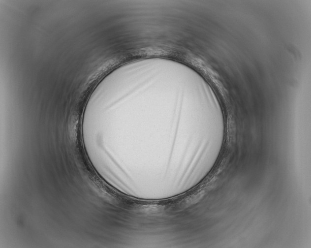 X0000112940153200909211141