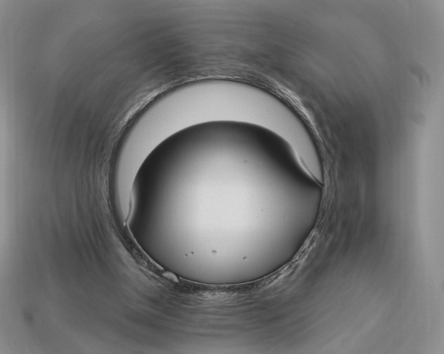 X0000112940154200909211141