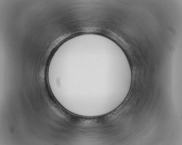X0000112940155200909211141