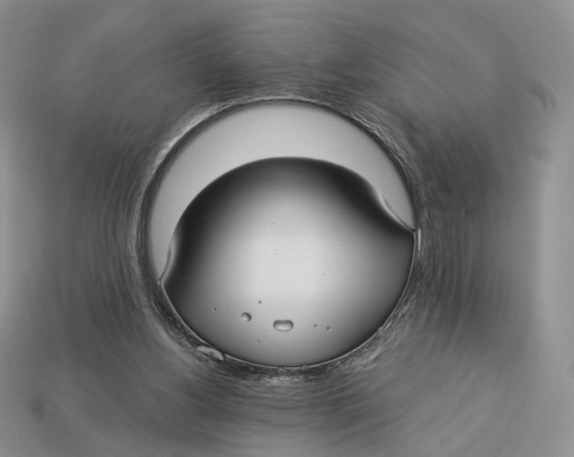 X0000112940156200909211141
