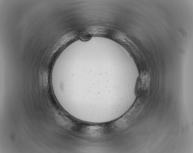 X0000112940158200909211141