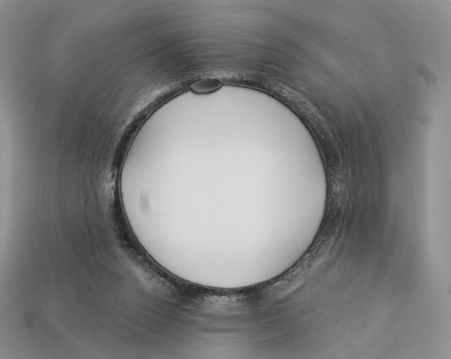 X0000112940160200909211141