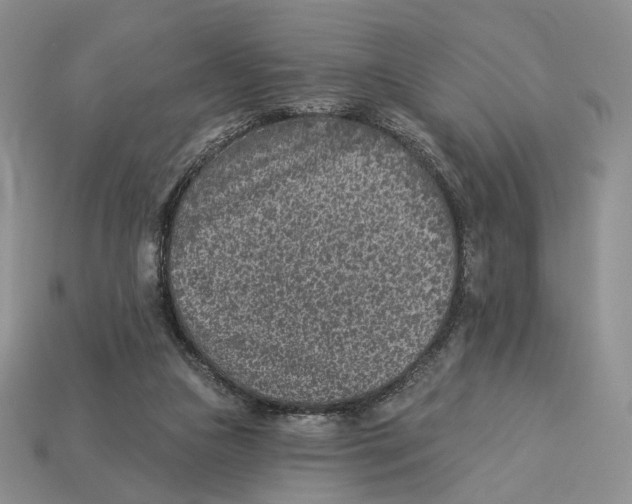 X0000112940161200909211141