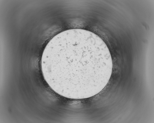 X0000112940162200909211141