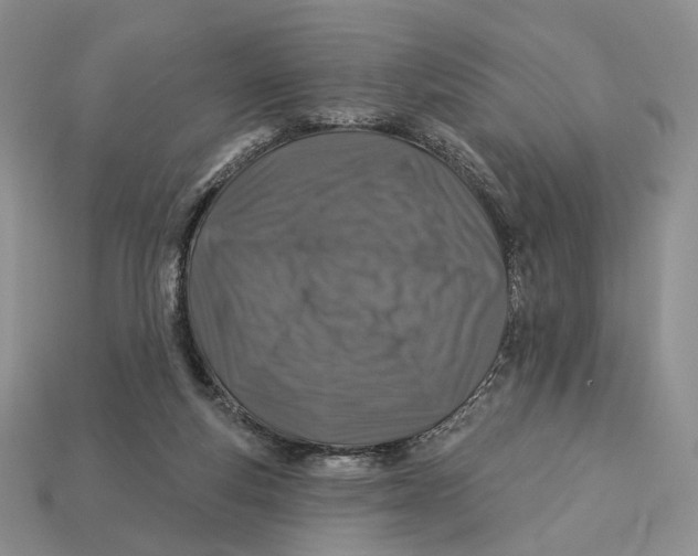 X0000112940163200909211141