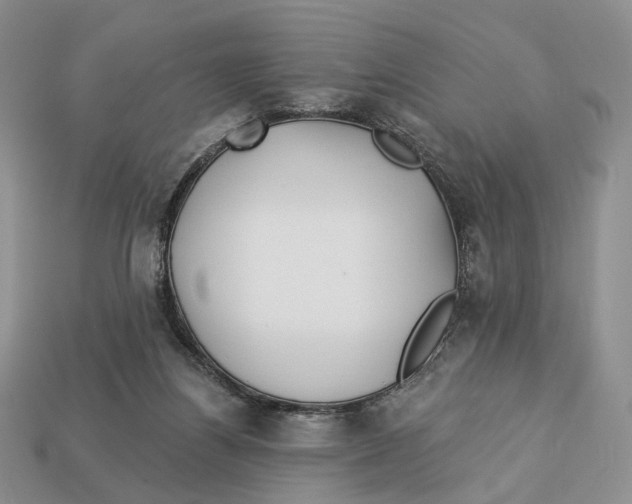 X0000112940164200909211141