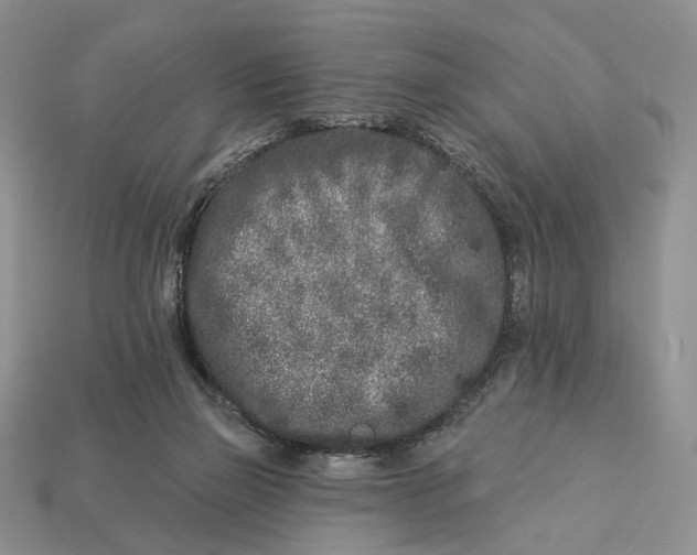 X0000112940165200909211141