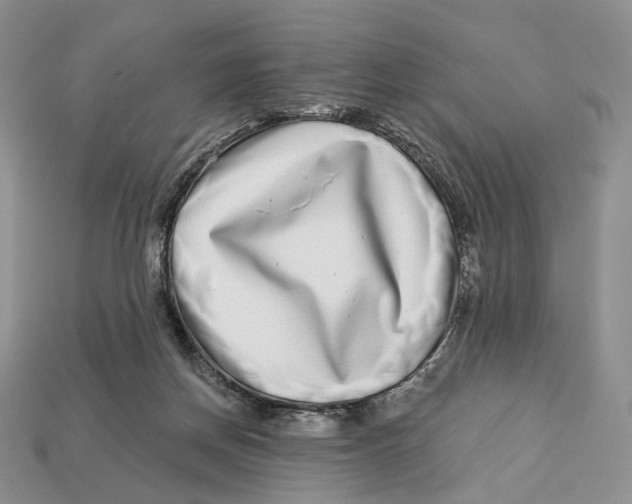 X0000112940166200909211141