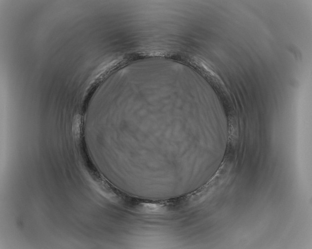 X0000112940167200909211141