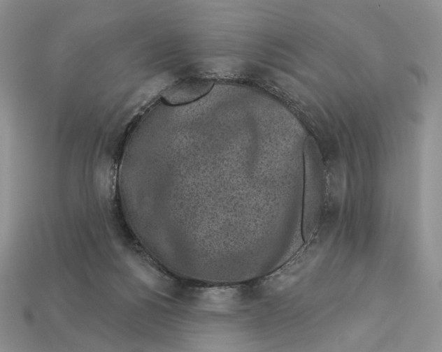 X0000112940168200909211141