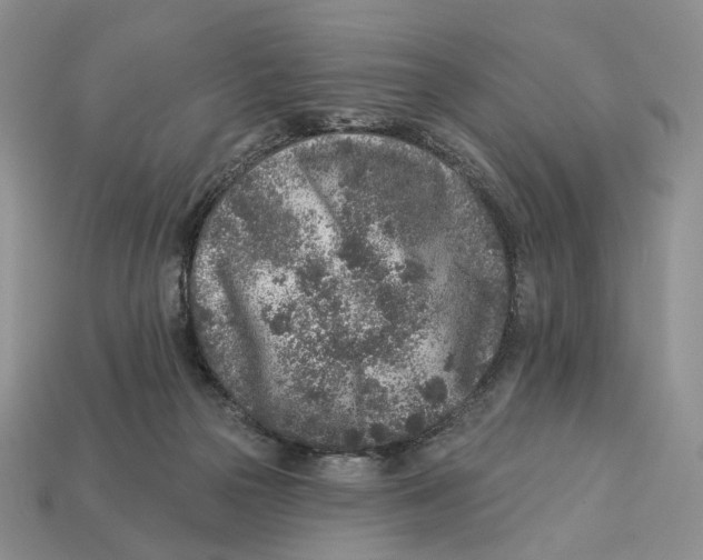 X0000112940169200909211141