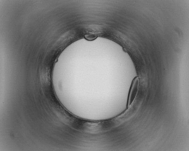 X0000112940170200909211141