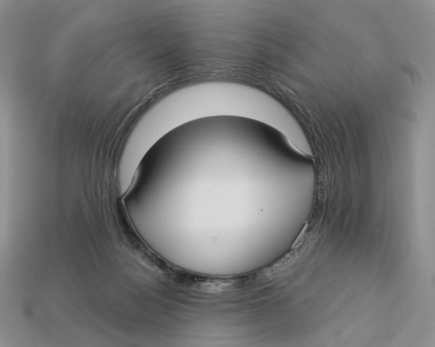 X0000112940172200909211141