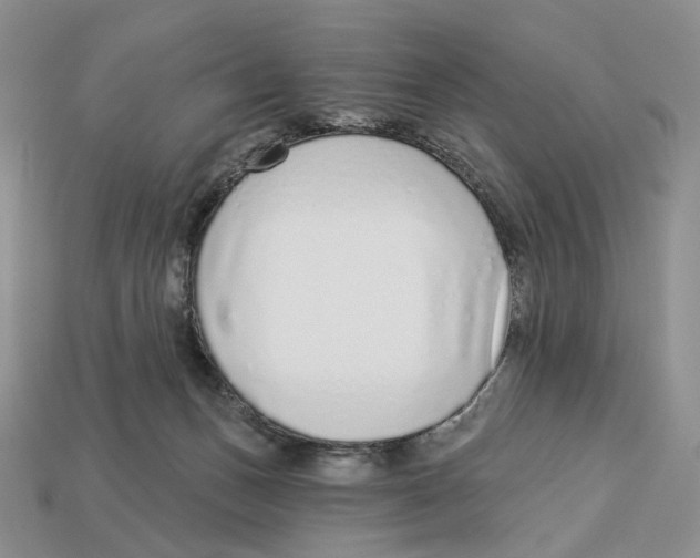 X0000112940175200909211141