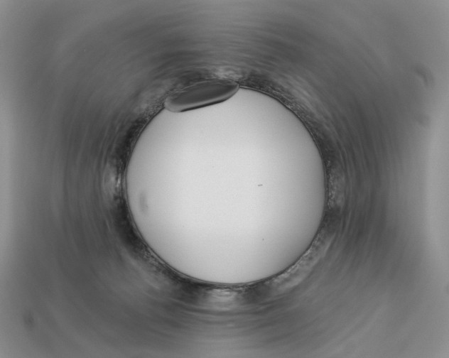 X0000112940176200909211141