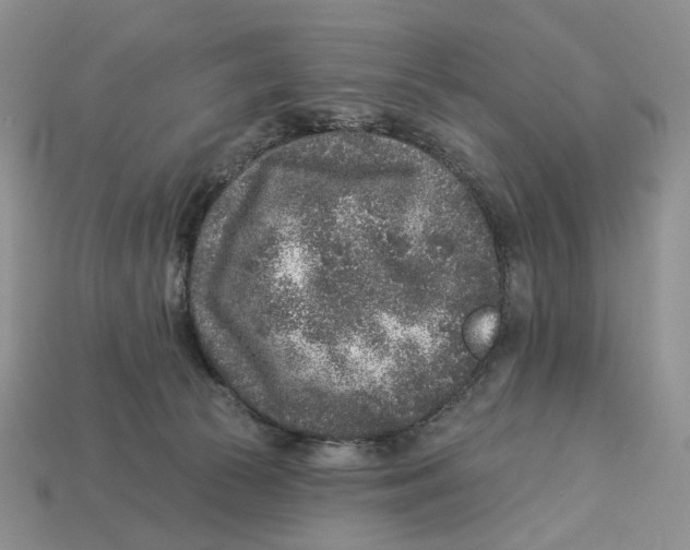 X0000112940177200909211141