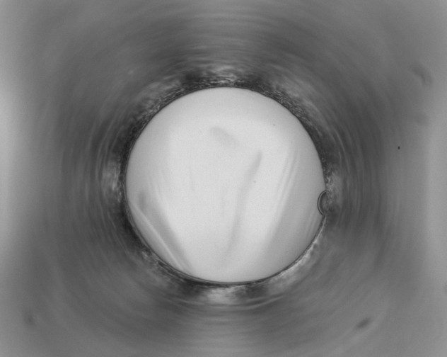 X0000112940178200909211141