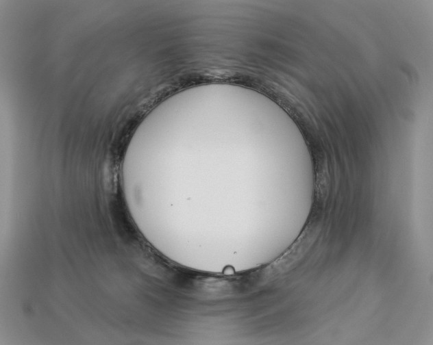 X0000112940180200909211141